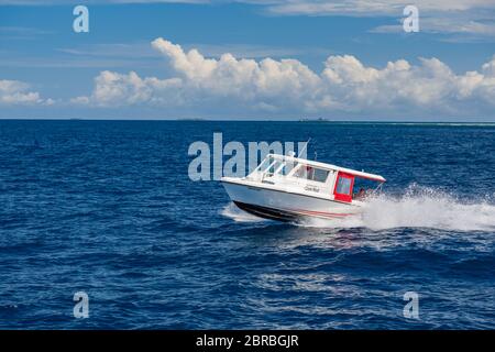 Ari Atoll, Maldive - 17 dicembre 2015: Motoscafo turistico che naviga in mare a Maldive, Oceano Indiano. Ormeggio motoscafo per il prelievo dei turisti Foto Stock