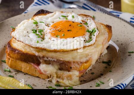 Croque madame sandwich, una delizia prodotti alimentari, fotografia Foto Stock