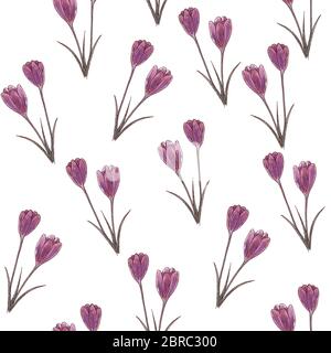 motivo acquerello senza cuciture con fiori di zafferano lilla su sfondo bianco. per tessuti, carta, cartoline, feste, decorazioni per matrimoni Foto Stock