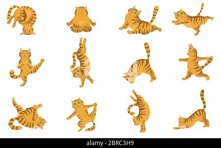 Yoga gatti. Diverse pose e esercizi di yoga. Colori a righe e tabby. Illustrazione vettoriale Illustrazione Vettoriale