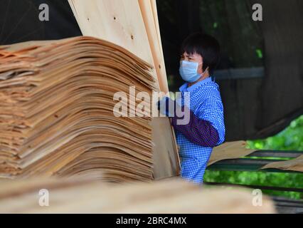 (200521) -- LUZHAI, 21 maggio 2020 (Xinhua) -- UNA donna lavora in una fabbrica di lavorazione del legno nella contea di Luzhai, nella città di Liuzhou, nella regione autonoma di Guangxi Zhuang, nella Cina meridionale, 19 maggio 2020. Negli ultimi anni, la contea di Luzhai ha rafforzato le sue industrie caratteristiche negli sforzi di alleviamento della povertà. Circa il 89% delle famiglie colpite dalla povertà nella contea di Luzhai sono impegnate in industrie caratteristiche, tra cui la piantagione e l'allevamento di animali. Dal 2016 al 2019, tutti i 22 villaggi colpiti dalla povertà nella contea di Luzhai hanno sconvolto la povertà, con il numero di abitanti impoveriti della contea che cadono Foto Stock