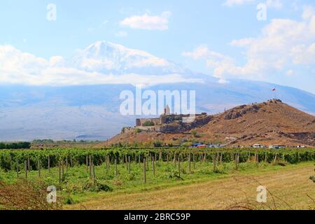 Vista mozzafiato del monastero di Khor Virap contro il monte Ararat con neve ricoperta e un vigneto in Foreground, Armenia Foto Stock