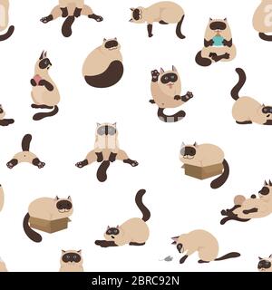 Cartoon caratteri gatto modello senza giunture. Diverse pose di gatto, yoga ed emozioni`s. Design semplice e a colori piatti. Gatti con colorpoint siamese. Vettore Illustrazione Vettoriale