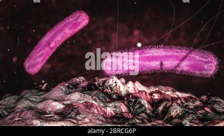 Scienza Foto di batteri Klebsiella pneumoniae è una matassa gram-negativa, non-motile, incapsulata, fermentante lattosio, anaerobica facoltativa, a forma di asta Foto Stock