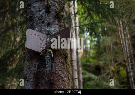 Un cartello di servizio forestale rotto sulla foresta pluviale temperata segna Cascade Creek Trail, Thomas Bay, Alaska sudorientale, USA, Tongass National Forest Foto Stock