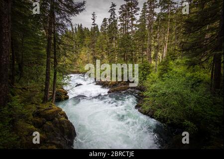 Cascade Trail, Thomas Bay, Alaska sudorientale, USA, è un remoto Tongass National Forest Trail lungo Cascade Creek, goduto da turisti avventurosi su un Foto Stock