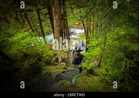 Cascade Trail, Thomas Bay, Alaska sudorientale, USA, è un remoto Tongass National Forest Trail lungo Cascade Creek, goduto da turisti avventurosi. Foto Stock