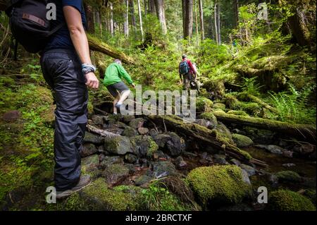 Cascade Trail, Thomas Bay, Alaska sudorientale, USA, è un remoto Tongass National Forest Trail goduto da turisti avventurosi in una piccola crociera nave. Foto Stock