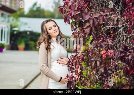 Una giovane donna incinta in piedi sulla siepe rossa d'autunno, tenendo il ventre. Donna incinta che si rilassa nel parco. Foto Stock