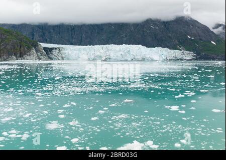 Il Glacier Bay National Park, nella parte sud-orientale dell'Alaska, USA, offre viste panoramiche sulla foresta e sulla fauna selvatica e tour in barca iconici che passano davanti alle gelate del ghiacciaio Margerie. Foto Stock