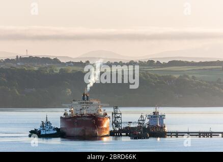 WhiteGate, Cork, Irlanda. 21 Maggio 2020. Petroliera NS Champion è assistita da rimorchiatori DSG Titan e Alex mentre si prepara a gettarsi all'alba dopo aver scaricato il suo carico di greggio alla raffineria Irving Oil di WhiteGate, Co. Cork, Irlanda. Dallo scoppio della pandemia di Covid-19, la domanda di petrolio è calata sui mercati internazionali, il che ha comportato una carenza di capacità di stoccaggio in tutto il mondo. - credito; David Creedon / Alamy Live News Foto Stock