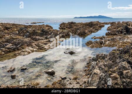 Pukerua Bay e Kapiti Island, Porirua, Wellington Region, Kapiti Coast, NorthIsland, Nuova Zelanda Foto Stock