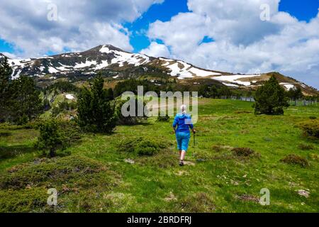 Donna escursionista e il Pic de Tarbésou, Port de Pailhères, col de Pailhères, sopra Ax les Thermes, Ariege, Pirenei francesi, Pirenei, Francia Foto Stock