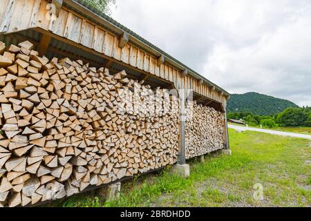 Tronchi di tronchi di legno di legno di legno di legno di legno di legno di legname di legno di tronchi. Ampio banner o panorama di tronchi di legno raccolta in foresta. Foto Stock