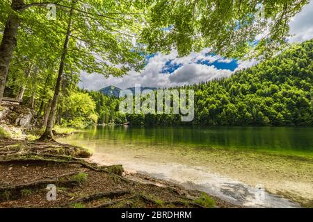 Splendido lago di montagna fiabesco nelle Alpi austriache. Scenario naturale mozzafiato per escursioni e avventura. Vista sul lago di montagna, alberi soleggiati Foto Stock