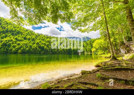 Splendido lago di montagna fiabesco nelle Alpi austriache. Scenario naturale mozzafiato per escursioni e avventura. Vista sul lago di montagna, alberi soleggiati Foto Stock