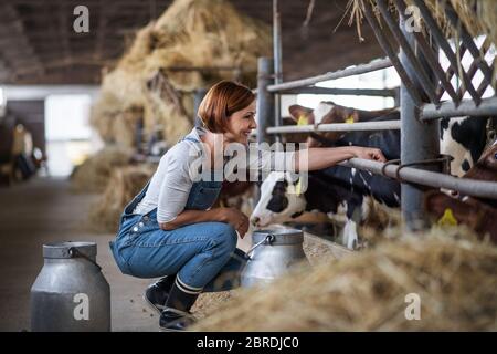 Lavoratrice con fieno che lavora in azienda agricola di diario, industria agricola. Foto Stock