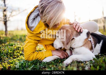Vista frontale della donna anziana che giace sull'erba in primavera, accarezzando il cane da compagnia. Foto Stock