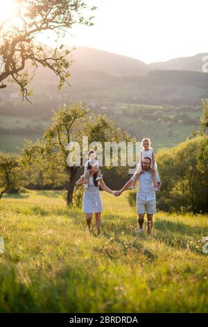 Famiglia con due bambini piccoli che camminano sui prati all'aperto al tramonto. Foto Stock