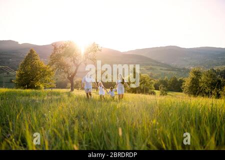 Famiglia giovane con due bambini piccoli che camminano sui prati all'aperto al tramonto. Foto Stock