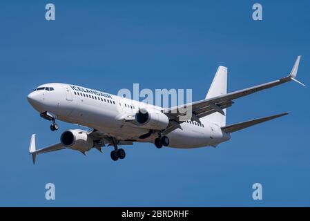 Icelandair Boeing 737 aereo di linea jet atterra all'aeroporto Heathrow di Londra su Cranford, Londra, Regno Unito. Design con punta ad alette in due metà Foto Stock