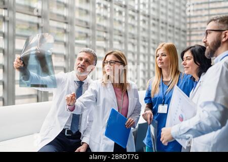 Gruppo di medici che guardano ai raggi X in conferenza medica, discutendo le questioni. Foto Stock