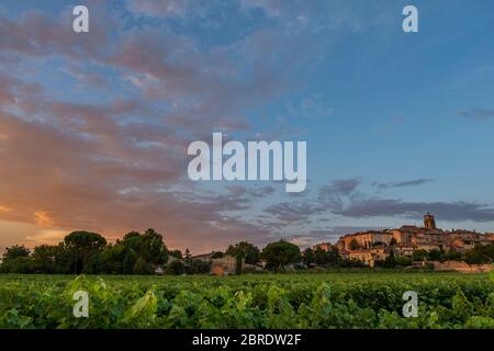 Domaine de Verquiere vigneti a Sablet, Francia meridionale, con il vecchio villaggio sulla collina in piena luce del sole Foto Stock