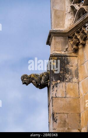 Gargoyle sulla facciata del Monastero di Santa Maria della Vittoria a Batalha, Portogallo Foto Stock