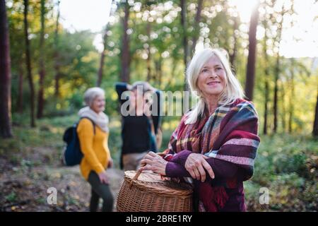 Donne anziane amici che camminano all'aperto nella foresta. Foto Stock