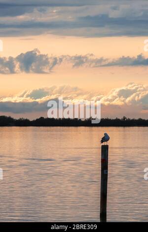 Tramonto sulla Laguna di grado, Friuli-Venezia Giulia, Italia Foto Stock