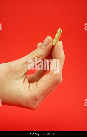 Pellets di legno per riscaldamento nel palmo di una mano Foto Stock