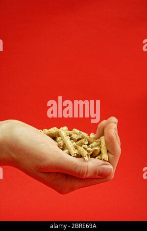 Pellets di legno per riscaldamento nel palmo di una mano Foto Stock