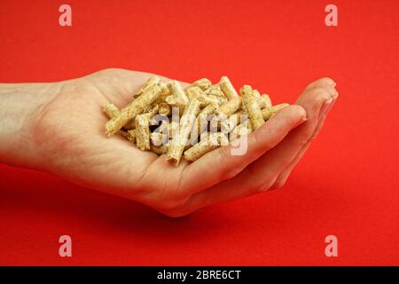 Pellets di legno per riscaldamento nel palmo di una mano Foto Stock