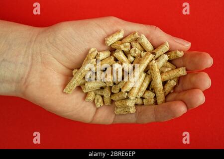 Pellets di legno per riscaldamento nel palmo di una mano Foto Stock