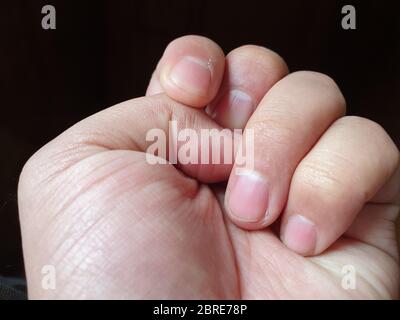 Parti del nostro corpo i capretti le parti del corpo hanno bisogno del sangue per funzionare correttamente - il sangue trasporta le sostanze nutrienti .le parti del corpo umano di alta definizione. Foto Stock