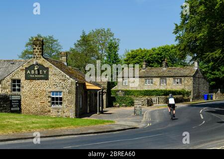 1 cyclist in bicicletta, pedalando su strada di campagna passando davanti al pittoresco caffè delle sale da tè in un pittoresco villaggio rurale soleggiato - Bolton Abbey, North Yorkshire, Inghilterra, Regno Unito Foto Stock