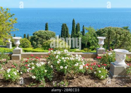 ALUPKA, RUSSIA - 20 MAGGIO 2016: Il giardino nel Palazzo Vorontsov. Il Palazzo Vorontsov è una delle attrazioni della Crimea. Foto Stock