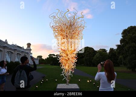 Dale Chihuly, artista di Seattle, ha esposto le sue opere d'arte in vetro originali e luminose in uno dei paesaggi più belli di Londra, Kew Gardens. Guarda le sue creazioni illuminare la notte in un connubio ipnotico di arte, scienza e natura. Chihuly Nights offre un'opportunità unica per passeggiare attraverso i Kew Gardens dopo che il sole è tramontato sotto lo skyline di Londra, ammirando le opere di un artista iconico e in-demand. Famosa in tutto il mondo per le sue scintillanti sculture in vetro colorato, l'opera di Chihuly è stata esposta in centinaia di musei e gallerie in tutto il mondo. Foto Stock