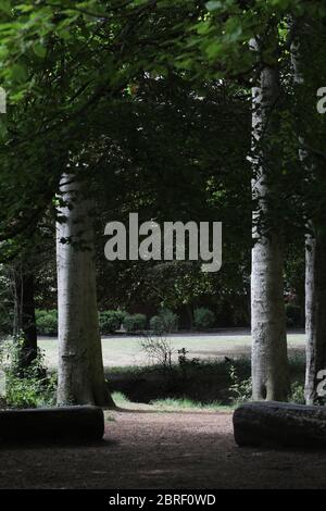 Endcliffe Park, Sheffield, durante la fase di 'Stay Alert' del Coronvirus Pandemic nel Regno Unito. Questa fase è stata il 11 maggio 2020, quando le persone che permettono di esercitare all'interno di spazi aperti quante volte e per tutto il tempo che vogliono. Potrebbero anche fare un picnic nel parco e incontrare un'altra persona al di fuori del loro gruppo di famiglia. La guida di distanza sociale di 2 metri esiste ancora. Foto Stock