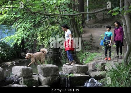 Endcliffe Park, Sheffield, durante la fase di 'Stay Alert' del Coronvirus Pandemic nel Regno Unito. Questa fase è stata il 11 maggio 2020, quando le persone che permettono di esercitare all'interno di spazi aperti quante volte e per tutto il tempo che vogliono. Potrebbero anche fare un picnic nel parco e incontrare un'altra persona al di fuori del loro gruppo di famiglia. La guida di distanza sociale di 2 metri esiste ancora. Foto Stock
