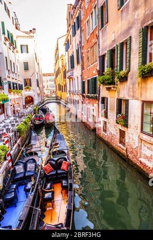 Via con gondole ormeggiate e caffè, Venezia, Italia. Vista panoramica sul canale di Venezia in estate. Colorate case d'epoca di Venezia con fiori. Romantico Foto Stock