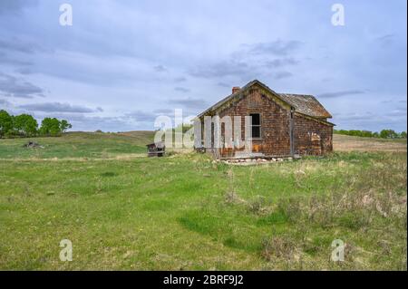 Vecchia casa di proprietà sulla prateria vicino a Big Valley, Alberta, Canada Foto Stock