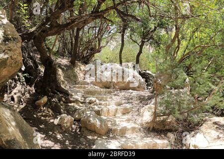 Sentiero turistico nella Gola di Avakas vicino alla città di Pafos a Cipro Foto Stock