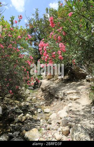 Percorso turistico nella Gola di Avakas a Cipro Foto Stock