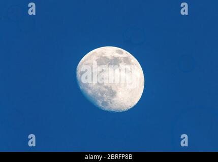 Fotografia della luna di fase gibbosa cerante a maggio, Scozia Regno Unito Foto Stock