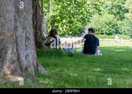 Essex, Regno Unito. 21 maggio 2020. Regno Unito Meteo: Essex Parchi aperti al pubblico per la prima volta dalla pandemia di Coronavirus/COVID-19. Credit: Ricci Fothergill/Alamy Live News Foto Stock