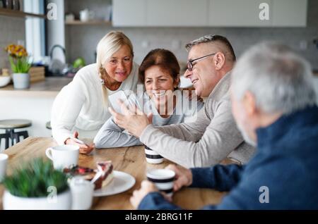 Gruppo di amici senior a casa, prendendo selfie. Foto Stock