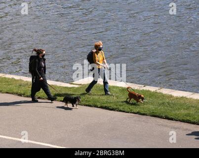 Cracovia. Cracovia. Polonia. Due donne che indossano maschere che camminano i cani sulla riva del fiume. Foto Stock