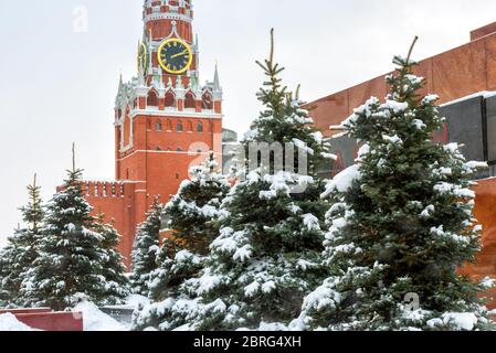 Piazza Rossa in inverno, Mosca, Russia. E' una delle principali attrazioni turistiche di Mosca. Gli abeti sono davanti al Mausoleo di Lenin, a cura del durino del Cremlino di Mosca Foto Stock