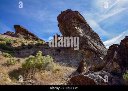 Paesaggio del deserto del Nevada Foto Stock